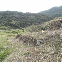 2006/09/20 こしき島耕作放棄地再生①のサムネイル