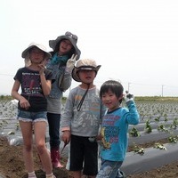2012/05/12 開聞芋植えのサムネイル