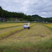 2013/10/19 大楠農産稲刈りのサムネイル