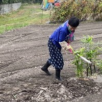 2020/11/07 東京から収穫体験のサムネイル