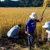 2020/11/09 大楠農産へ東京から農業体験のサムネイル