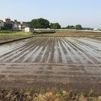2018/05/13~17 埼玉県農業支援のサムネイル