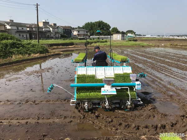 2018/05/13~17 埼玉県農業支援のサムネイル