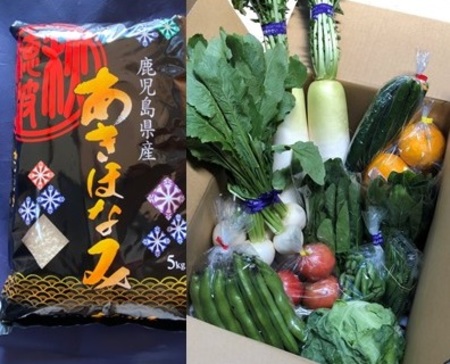 季節の野菜　10000円パック 「野菜とお米のset」